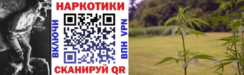 Где купить наркотики Ноябрьск NBOMe  МЕФ  COCAIN  Гашиш  Каннабис  Alpha-PVP  Амфетамин 