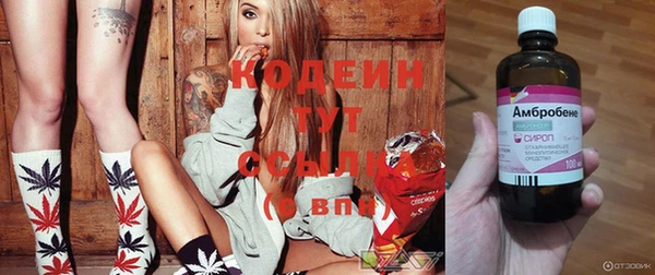 дмт Вяземский