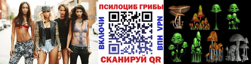 как найти наркотики Ноябрьск Псилоцибиновые грибы Psilocybe