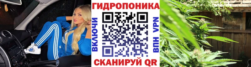 Шишки марихуана планчик  мориарти состав  Ноябрьск 
